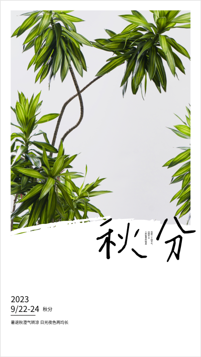 2023年二十四节气秋分秋季海报