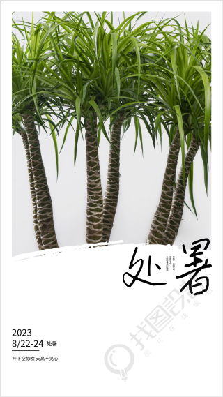 2023年二十四节气夏季处暑海报