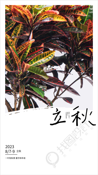 2023年二十四节气立秋秋季海报