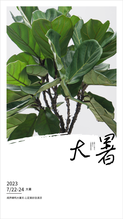 2023年二十四节气大暑海报