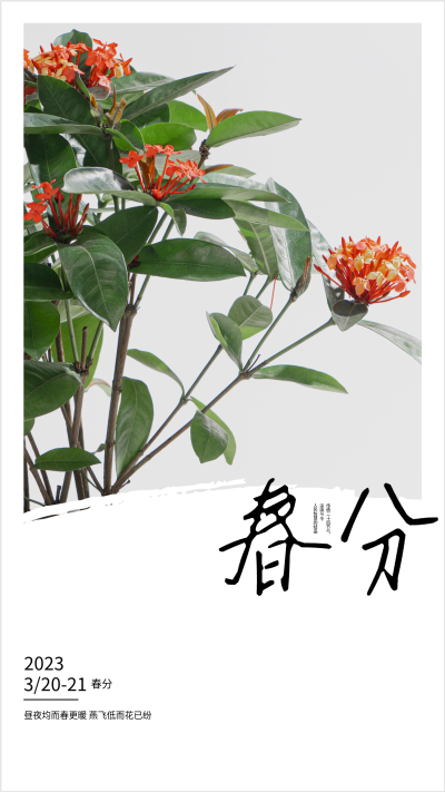 2023年二十四节气春分海报