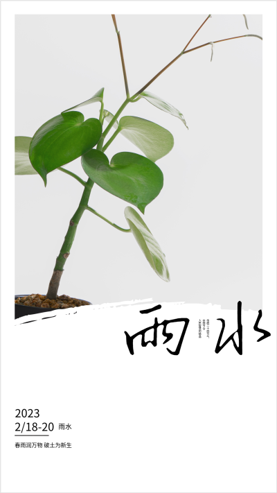 2023年二十四节气雨水海报