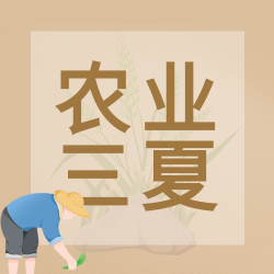 棕色系农业三夏插秧的农民微信公众号次图