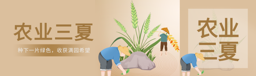 传统农业生产重要时间节点三夏公众号封面图