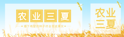 农业生产重要节点三夏保障丰收公众号封面图