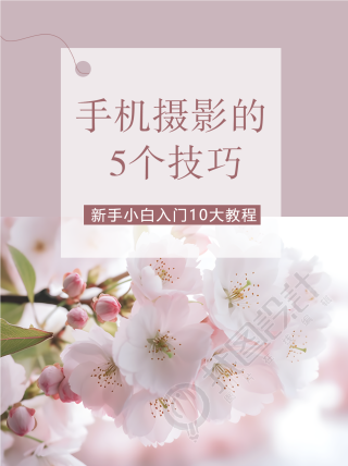 初春樱花实景手机摄影的5个技巧小红书封面配图