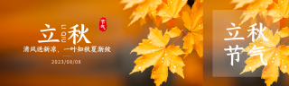 黄色简约二十四节气立秋公众号封面图