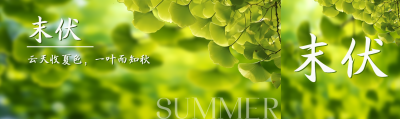 绿色银杏叶实景末伏宣传公众号封面图