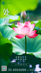 唯美粉色荷花实景处暑时节宣传手机海报