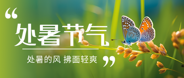 唯美蝴蝶处暑凉风拂面轻爽微信公众号首图