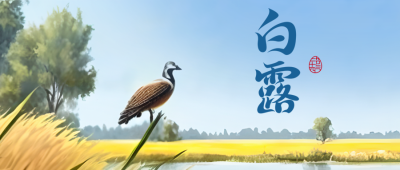 湿地美景二十四节气白露微信公众号首图