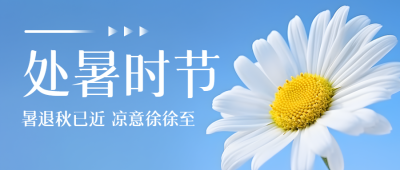 白色小雏菊美景处暑时节唯美微信公众号首图