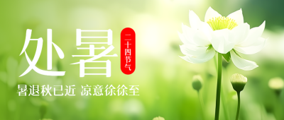 二十四节气处暑洁白的花朵微信公众号首图