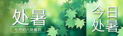 绿色枫叶实景七月初八处暑公众号封面图