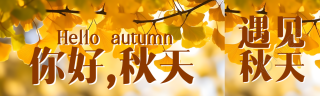 你好秋天唯美银杏叶实景公众号封面图