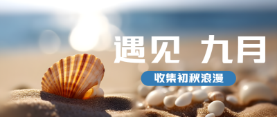 沙滩上的贝壳实景遇见九月微信公众号首图
