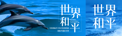 海洋海豚实景世界和平宣传公众号封面图