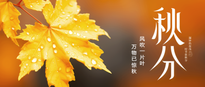 二十四节气秋分枫叶水滴实景微信公众号首图