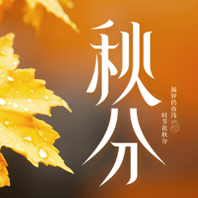 黄色枫叶实景24节气秋分微信公众号次图