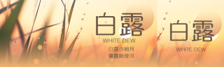 白露含明月青霞断绛河公众号封面图