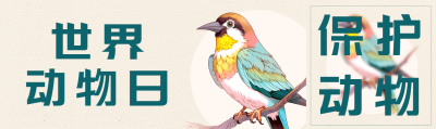 世界动物日彩色小鸟实景公众号封面图