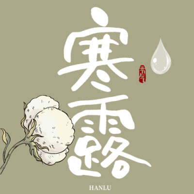 极简风棉花24节气寒露微信公众号次图