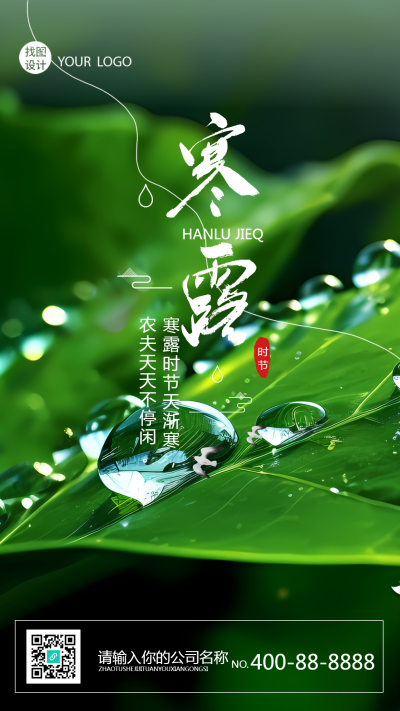 寒露节气绿色叶片上的露珠实景手机海报