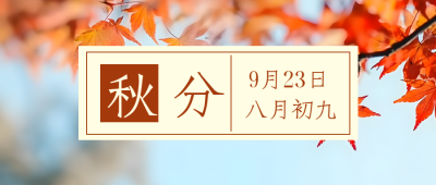 红色枫叶实景秋分时节创意微信公众号首图