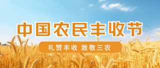 中国农民丰收节蓝天白云小麦实景微信公众号首图