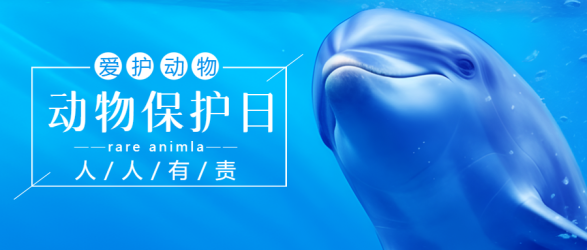保护动物海洋中自由自在的海豚实景微信公众号首图