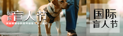 导盲犬实景国际盲人节宣传公众号封面图