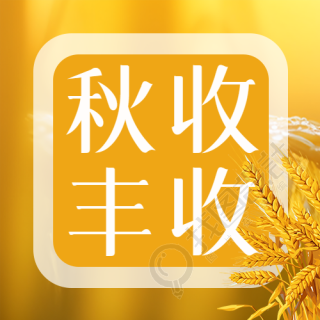 庆祝农作物秋收丰收简约微信公众号次图