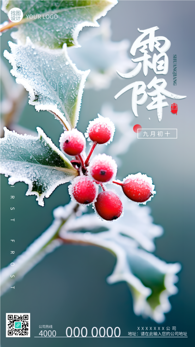 24节气霜降枝头的红色果实手机海报