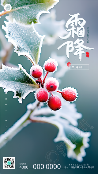 24节气霜降枝头的红色果实手机海报