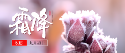 秋季植物美景霜降时节宣传微信公众号首图