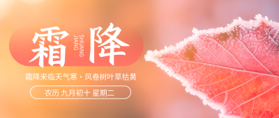 下霜的红色树叶霜降节气微信公众号首图