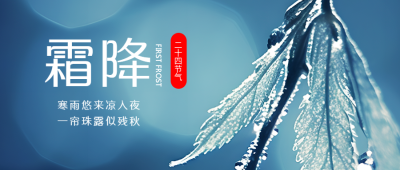 唯美树叶二十四节气霜降微信公众号首图