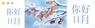 你好11月冬季树叶枝干实景公众号封面图