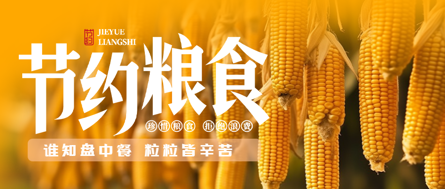 秋季丰收的玉米实景世界粮食日微信公众号首图