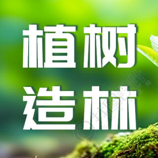 实景创意植树造林公益活动微信公众号次图