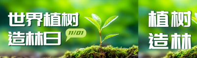 茁壮成长的小树苗世界植树造林日公众号封面图
