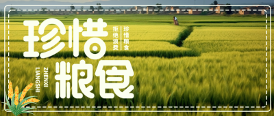 珍惜粮食从如今做起从自身做起微信公众号首图