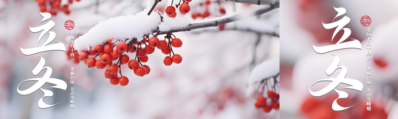 立冬节气雪景中的红浆果实景公众号封面图