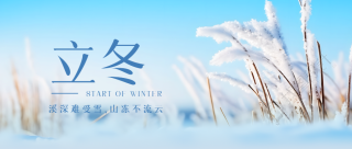 干枯的芦苇景色传统节气立冬微信公众号首图