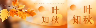 弥散风一叶知秋黄色树叶实景公众号封面图