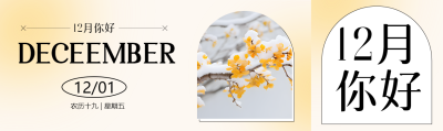 弥散风12月你好唯美腊梅公众号封面图