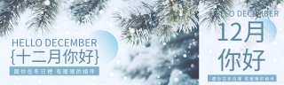 十二月你好唯美雪松实景公众号封面图