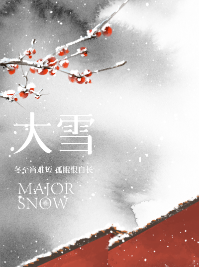 水墨风唯美红墙大雪时节小红书封面配图