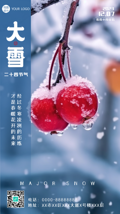 二十四节气大雪红浆果实景创意宣传手机海报