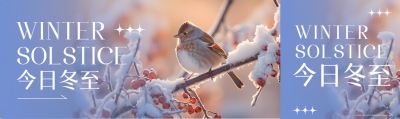 今日冬至雪中的小胖鸟实景公众号封面图